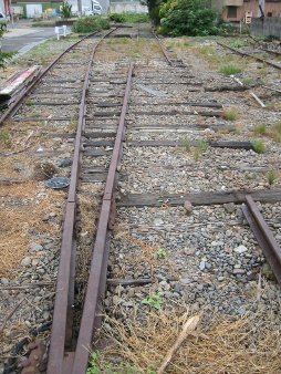 ��������å��ǳ���!